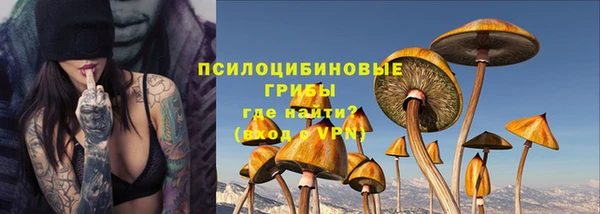 бошки Касимов