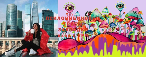 бошки Касимов