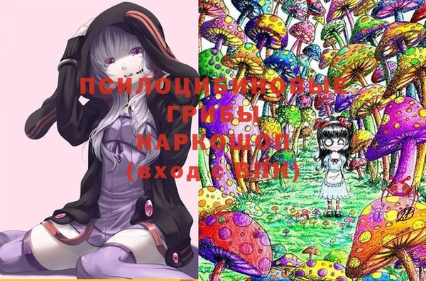 бошки Касимов