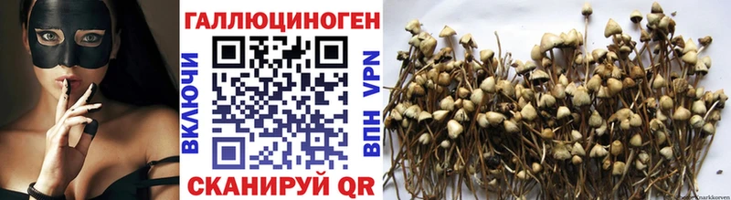 Галлюциногенные грибы GOLDEN TEACHER Шатура